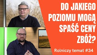 Ceny zbóż spadają Sprzedawać czy czekać Czy będą rekompensaty dla rolników Rolniczy temat 34 [upl. by Gnouv]