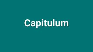 Capitulum Meaning and Pronunciation [upl. by Aserehtairam]