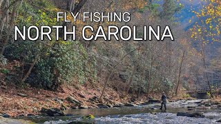 Euro Nymphing for Lots of Trout on the Nantahala River  Fly Fishing North Carolina [upl. by Tades]