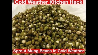 Sprouting Mung Beans in 24 Hours using an Instant Pot  Cold Weather Kitchen Hack [upl. by Pedro]