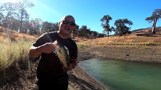 Bass fishing Lake Berryessa Summer finally hitting California [upl. by Filmore]