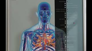 Cardiovascular System from wwweducaredesign [upl. by Nole]