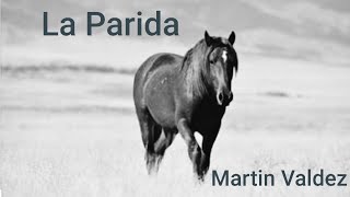 La Parida  Martín Valdez [upl. by Dosh796]