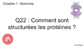 Chapitre 1  Biochimie  Q22  Comment sont structurées les protéines [upl. by Grearson980]