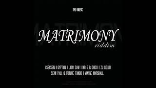 Matrimony Riddim MixFullLady Saw Sean Paul Future Fambo Assassin Zj Liquid x Drop Di Riddim [upl. by Nagear]