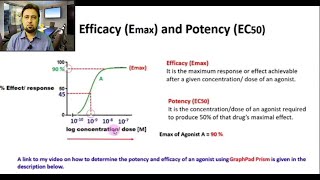 Efficacy  Potency  Junaid Asghar PhD [upl. by Asirap]