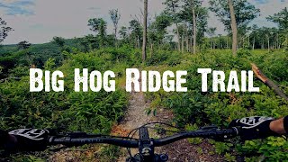 Big Hog Ridge  Mountain Biking Michaux State Forest [upl. by Schlesinger657]