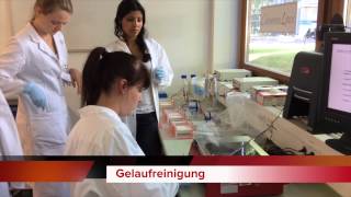 Gentechnik – was steckt dahinter [upl. by Arica]