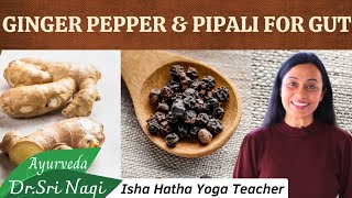 Ginger Peper amp Pippali for Gut Health [upl. by Yrovi]