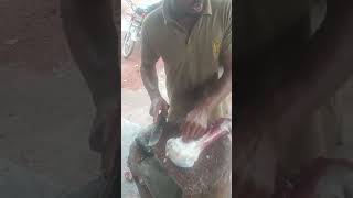 bone cutting processing  amazing fastest butchers in pak [upl. by Akenat713]