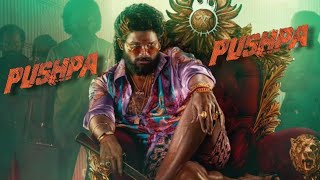 Pushpa Pushpa  official music video karan tandon  pushpa 2 song [upl. by Nilyahs]