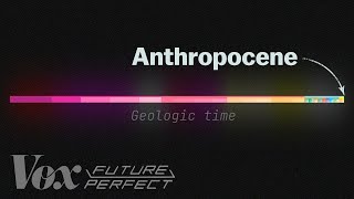 The debate over the Anthropocene explained [upl. by Brandt]