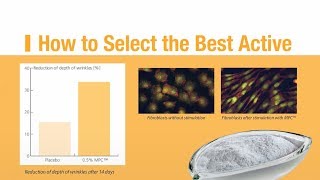 How to Select the Best Active [upl. by Pepita173]