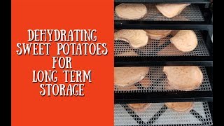 Dehydrating Sweet Potatoes for Long Term Storage  Homestead Corner [upl. by Alur728]