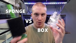 Sponge Filter VS Box Filter [upl. by Connell]