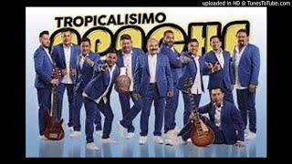 TROPICALISIMO APACHE Cumbias [upl. by Joleen]