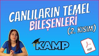 CANLILARIN TEMEL BİLEŞENLERİ 2 KISIM FULL TEKRAR TYT 2025 [upl. by Ihsar]