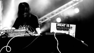 Merzbow  Merzbox 03 Remblandt Assemblage Full Album [upl. by Acinoryt]