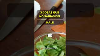 3 BENEFICIOS DE LA COL RIZADA KALE QUE TE SORPRENDERÁN estilodevida saludables kale [upl. by Ursula]