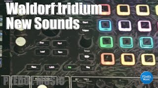 Waldorf Iridium New sounds and FX [upl. by Mayda]