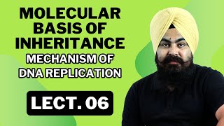 Molecular Basis of Inheritance  LECTURE 06  Complete NCERTBased Lecture  BIOLOGY ncert [upl. by Atinuj]