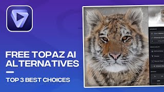 Best Free Topaz Video AI Alternatives 2024 [upl. by Dlanger521]