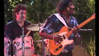 Albert Collins amp The Icebreakers  Same old thing notte [upl. by Mathias]