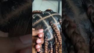 Knotless box Brad tutorial for beginners song trend shortsviral braids hairstyle 1million [upl. by Vary]