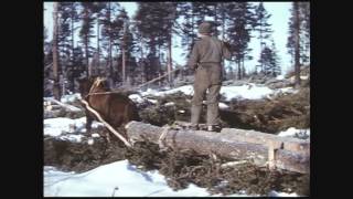 1961 Uusivuosi ja valtuuston kokouksia sekä metsätöitä Orisbergissa [upl. by Glenna56]