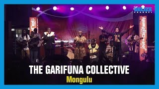 The Garifuna Collective  Mongulu Wave Punta Fest 2019 [upl. by Atiekan]