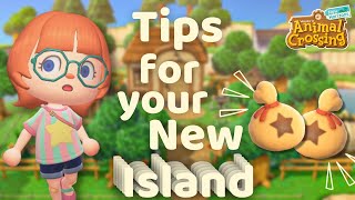 The BEST Tips and Tricks for Starting A Brand New Island in Animal Crossing  acnh [upl. by Norga154]