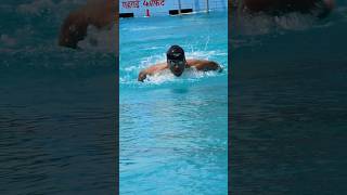 Butterfly Swimming Video Swimming Stroke Swimming Tips learnswimming swimming swimmingtips [upl. by Blanche454]