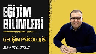 EĞİTİM BİLİMLERİGELİŞİM PSİKOLOJİSİ Kohlberg Ahlak Gelişimi [upl. by Halullat]