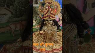 love song laddure radheshyam meroladdugopal laddu mysweetladugopal [upl. by Llerryt956]