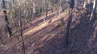 East TN deer hunt [upl. by Gayelord195]