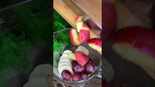 Mix Fruit Milkshake Recipe 😍  Nature Village Life 😋😋😋shorts [upl. by Drofyar]