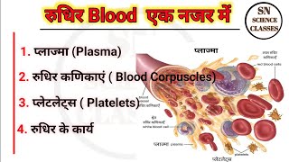 Human Blood  RBCs  WBCs  Platelets  Plasma in Hindi [upl. by Bolling274]