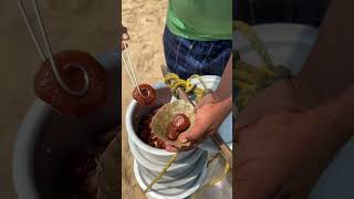 Beach wali mithai😱youtubeshorts hardworking food indianstreetfood [upl. by Doe]