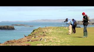 Staffa Tours [upl. by Mafalda801]