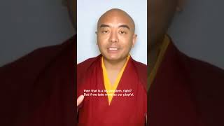 Don’t Fight with the Waves  Mingyur Rinpoche [upl. by Sueaddaht728]