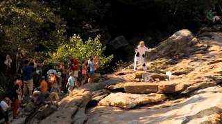 Christian Harmat Red Bull Art of Motion Nature Run cow costume [upl. by Trilbi839]