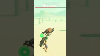 Molduking Battle The Legend of Zelda Breath of the Wild [upl. by Eed187]