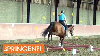 Mijn paarden houden meer van springen  Vlog 22 [upl. by Lallage]