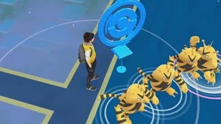 INCREDIBLE 4 Electabuzz Spawns Simultaneously in Curtis Park Electabuzz Nest [upl. by Eurydice]