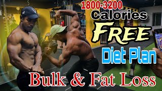 Free Diet Plan for Bulk or Cut [upl. by Hedveh]