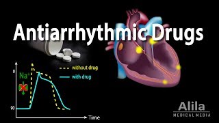 Antiarrhythmic Drugs Animation [upl. by Eat]