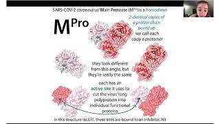 The basics amp biochemistry of Paxlovid Pfizers covid pill which is an MPro inhibitor [upl. by Marutani]