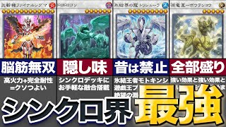 【遊戯王】光差す道となれ！汎用シンクロランキングTOP20【ゆっくり解説】 [upl. by Carnay]