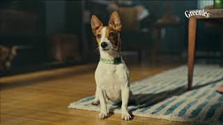 Greenies Dental Treats for Dogs  Keep Your Pup’s Teeth Clean amp Healthy  TV Commercial greenies [upl. by Notsnorb]