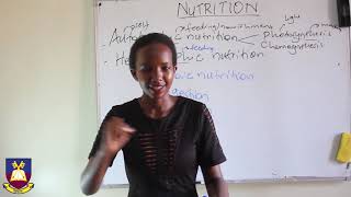 Senior Two Biology Introduction to Nutrition Part 2 [upl. by Eleen]